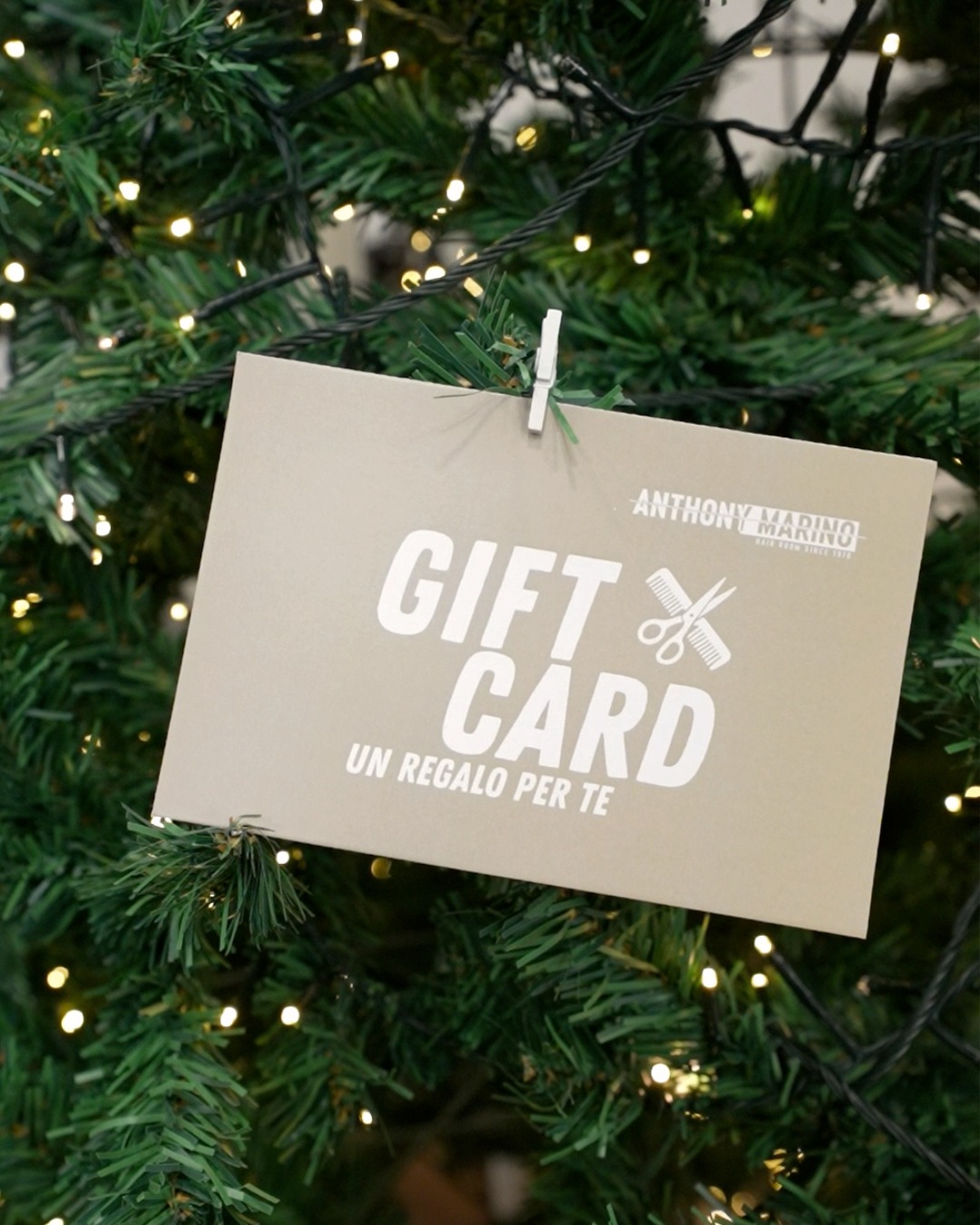 Lavoro Antony Marino