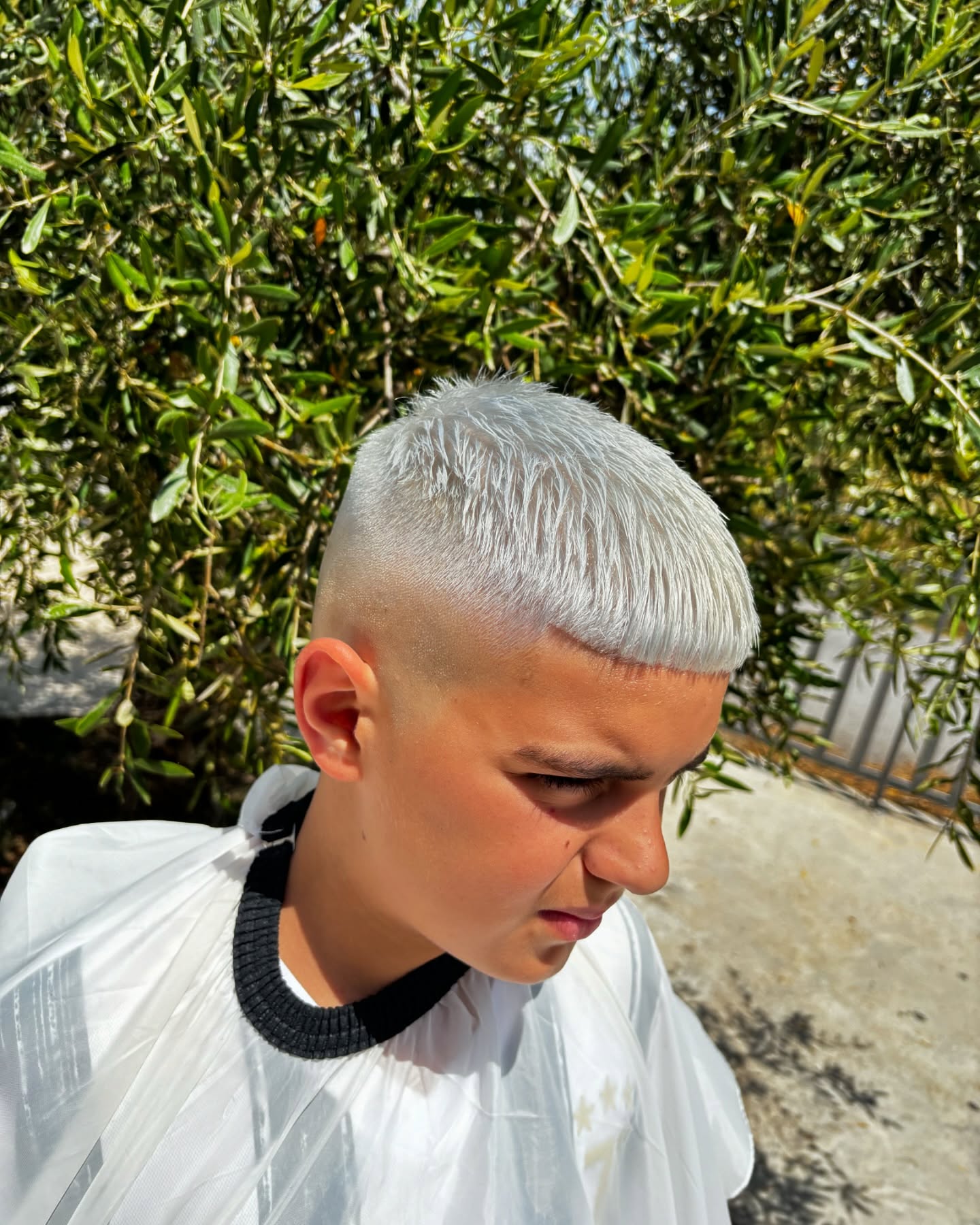 Lavoro Antony Marino